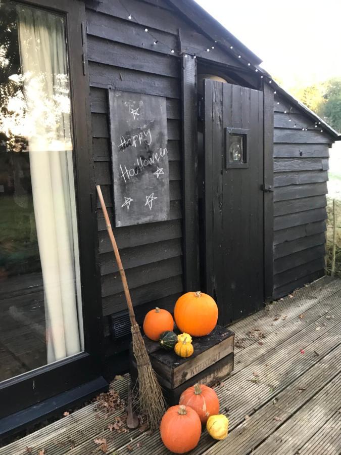 The Old Apple Shed Cosy Heated Cottage In A Meadow Close To The Charming Village Of Bethersden Ашфорд Екстер'єр фото