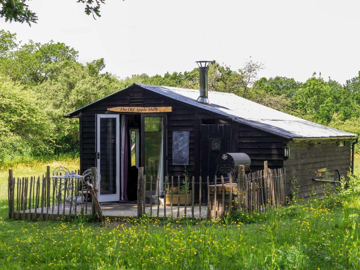 The Old Apple Shed Cosy Heated Cottage In A Meadow Close To The Charming Village Of Bethersden Ашфорд Екстер'єр фото