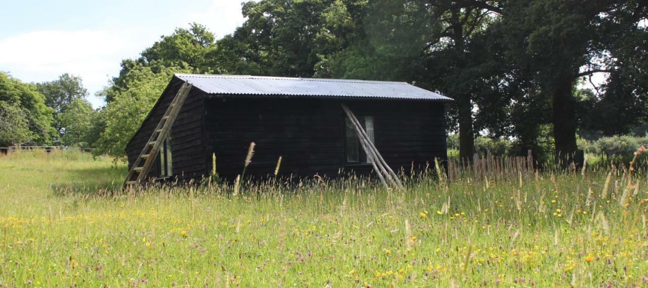 The Old Apple Shed Cosy Heated Cottage In A Meadow Close To The Charming Village Of Bethersden Ашфорд Екстер'єр фото